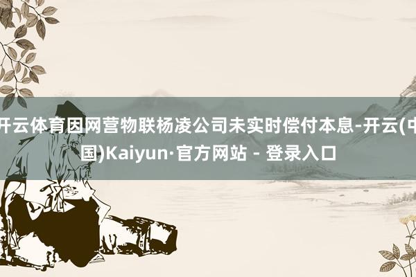 开云体育因网营物联杨凌公司未实时偿付本息-开云(中国)Kaiyun·官方网站 - 登录入口