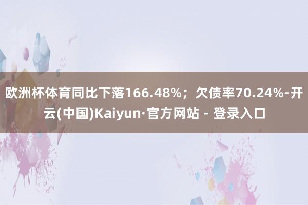 欧洲杯体育同比下落166.48%；欠债率70.24%-开云(中国)Kaiyun·官方网站 - 登录入口