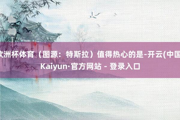 欧洲杯体育（图源：特斯拉）值得热心的是-开云(中国)Kaiyun·官方网站 - 登录入口